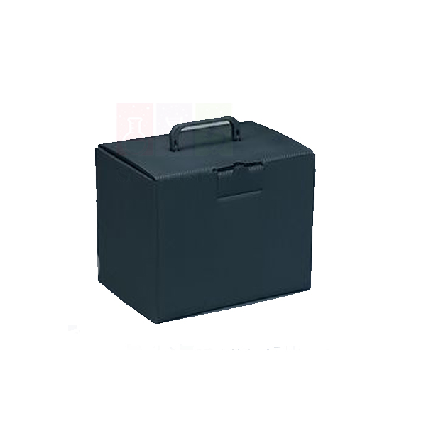 Human Skull Storage Case, Black Plastic